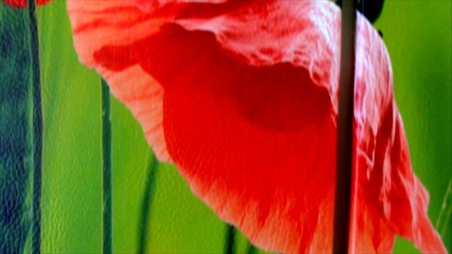 Модульная картина "Маки в поле" смотреть онлайн