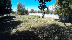 Покос травы кусторезом STIHL FS 550. Наглядный тест-драйв