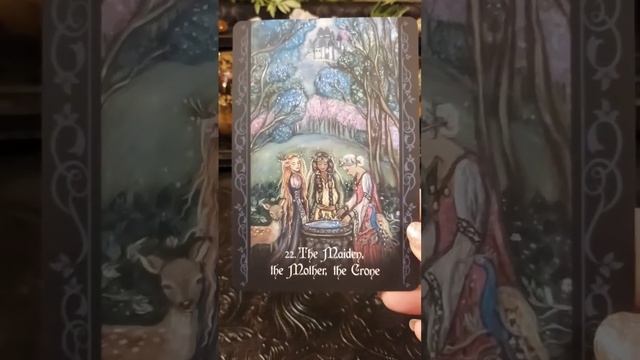 THE SOLITARY WITCH ORACLE - NEW RELEASE - STUNNING! смотреть онлайн