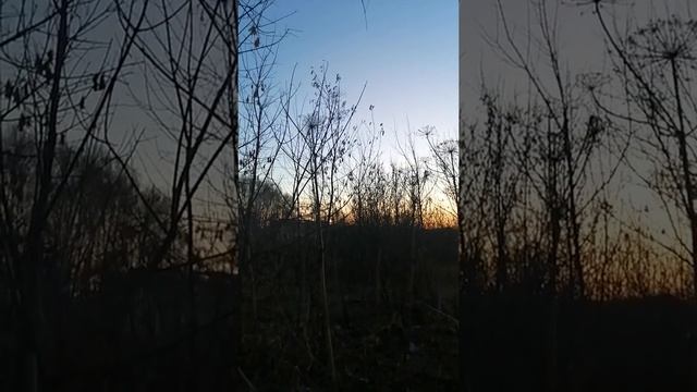 АНЕКДОТ. НА БИОЛОГИИ. смотреть онлайн