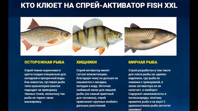 Ловим окуня с хорошей прикормкой ЗИМНЯЯ РЫБАЛКА 2017 смотреть онлайн