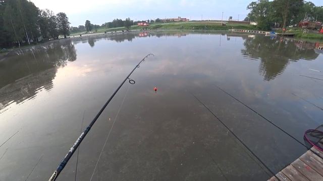 Удачная рыбалка. Приехал ловить осетра, а поймал этих гигантов. смотреть онлайн