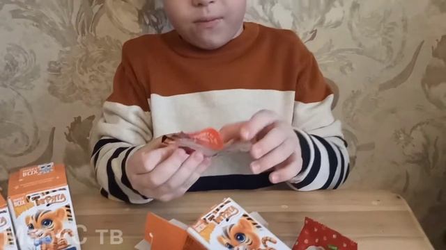 #sweetbox #свитбокс Свитбокс ТИГРЯТА. Неожиданный результат! Игрушки с мармеладом
