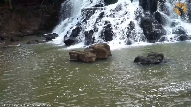 Saxophone 2023 | Best Saxophone Cover Popular Songs (Background Music For Relaxation And Calm Mind)