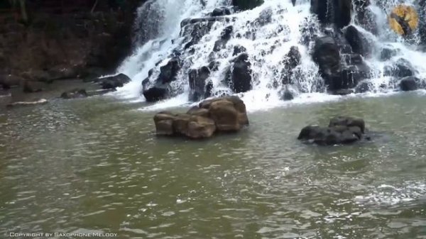 Saxophone 2023 | Best Saxophone Cover Popular Songs (Background Music for Relaxation and Calm Mind)