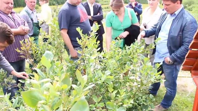 Экскурсия по КФХ "Ягодка" ч. 1 смотреть онлайн