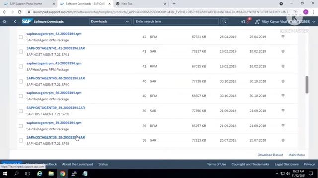 Hostagent Upgrade in linux смотреть онлайн