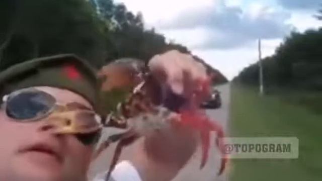 Вот почему нельзя играть с едой смотреть онлайн