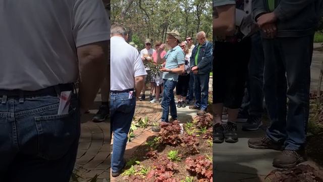 Rhododendron Care смотреть онлайн