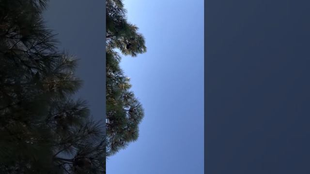 Убеждения хорошо и плохо смотреть онлайн