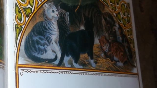 Знакомьтесь: Саша Черный. Читаем его стихи #чтениевслух #читаемкниги #сашачерный #стихисашичерного смотреть онлайн