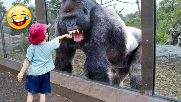 Я РЖАЛ ДО СЛЕЗ __ КОРОНАВИРУС __ лучшие приколы 2020 _ ПРИКОЛЫ ПРО КОРОНАВИРУС _ coronavirus