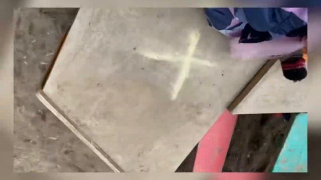 Майский жук