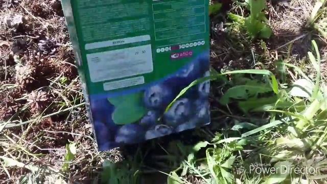 Дом Своими Руками