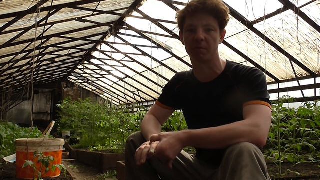 Начинаем выращивать семена (новая отрасль) смотреть онлайн