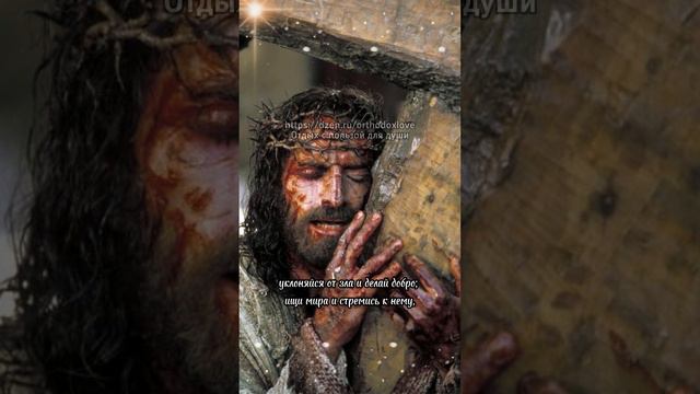 Евангелие в цитатах🕊 Отдыхайте с пользой для души🤍 смотреть онлайн