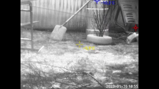 InfiRay T2 Pro - мобильный тепловизор // Обзор и возможности // InFiRay T2Pro