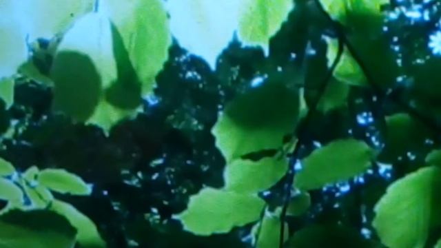 Полезные советы,тема талая вода,как правильно приготовить воду для омоложения и очищения❤?? смотреть онлайн