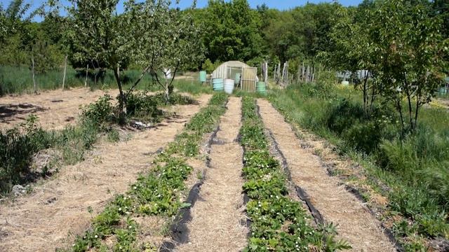 Краснодарский край г Абинск Родовой Поместье Живой Родник в начале мая 2018 г смотреть онлайн