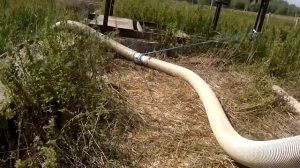 Откачка навоза из навозонакопителя(лагуны)