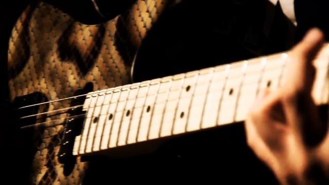 P Charvel 일렉기타 Warren DeMartini Signature Snake Pro Mod смотреть онлайн