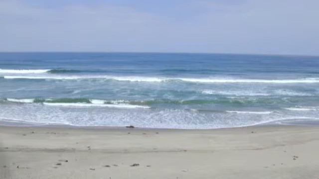 Jason DePue Bach Sontas and Partitas, Live Performance May 19th 2002 смотреть онлайн