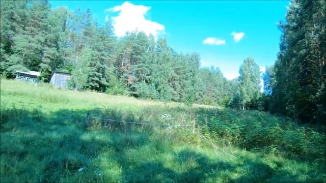 Волчьи следы. Есть ли грибы? Старая усадьба смотреть онлайн