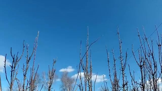 4 признака, что он не любит тебя, ты просто удобный вариант. смотреть онлайн