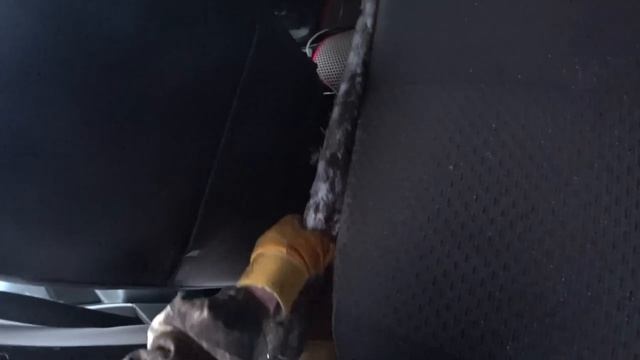 Сдаём рекордный металл. Разом загрузили пол тонны в Гранту. Поездка на Почту. Жизнь в деревне. смотреть онлайн