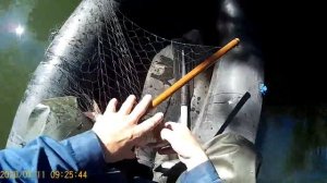 Рыбалка на экраны с кормушкой