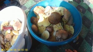 Про кедровые орехи, рябчика, грибы маслята, бройлеров и огнемет!