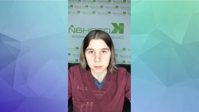 Что такое эндокардиоз митрального клапана смотреть онлайн