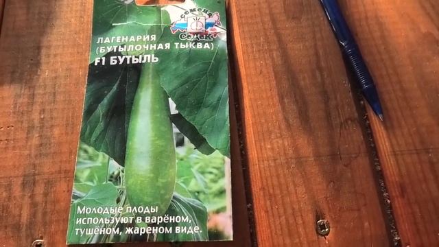 выращивание лагенарии,рассада дача под Архангельском смотреть онлайн
