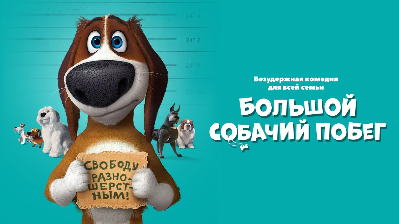 Большой собачий побег (2016) смотреть онлайн