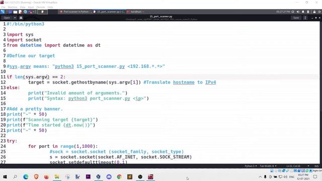 How to make a port scanner in python / python3? смотреть онлайн