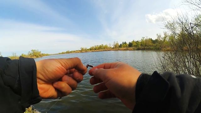 Весенняя тарань 2019 год (в Апреле)/ Гребной канал/ смотреть онлайн