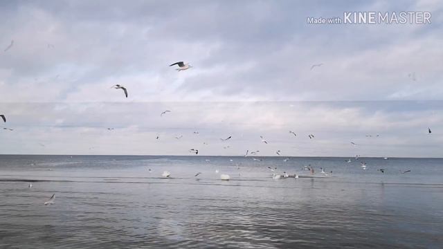 Первые признаки весны в Юрмале. смотреть онлайн