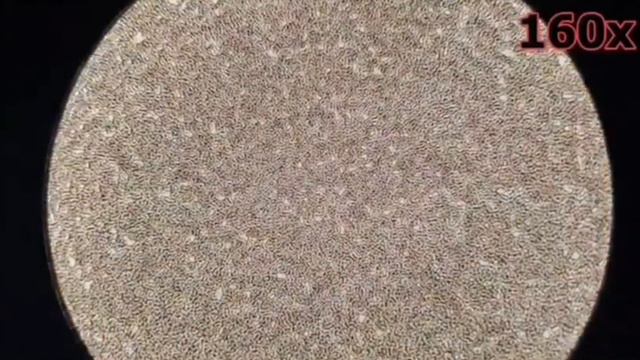 🔬Что кофе делает с кровью? Как разжижать - в описании к видео🔽 смотреть онлайн