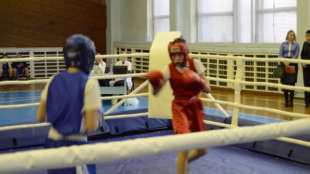 Турнир по боксу смотреть онлайн