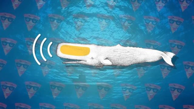 100 Фактов о Мегалодоне, о Которых вы не Знали смотреть онлайн