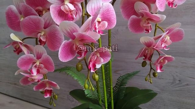 ПОЧЕМУ У ОРХИДЕИ ВЯНУТ И ОПАДАЮТ НЕ РАСКРЫВШИЕСЯ БУТОНЫ. Орхидея скидывает бутоны. смотреть онлайн