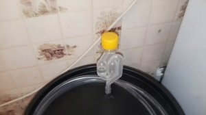 Дрожжи Кодзи/Пшеничная крупа