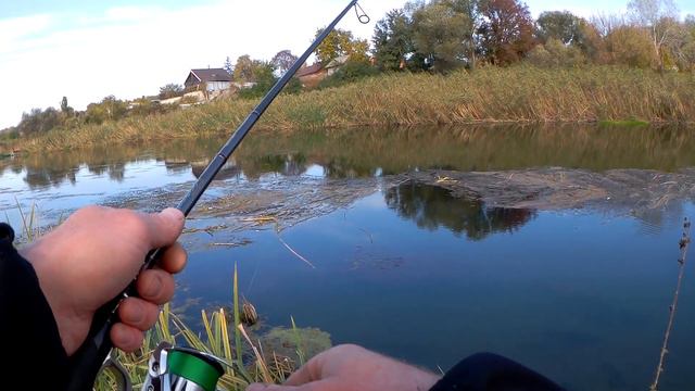 ОБЪЯВЛЯЮ ОЧЕРЕДНОЙ РОЗЫГРЫШ | Рыбалка на спиннинг с берега осенью смотреть онлайн