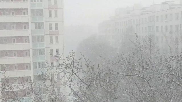 СИЛЬНАЯ МЕТЕЛЬ. На Москву обрушился снегопад. 22.01.2020 смотреть онлайн