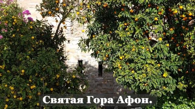 О блудницах,повреждении человеческой природы и опасности для потомства. смотреть онлайн