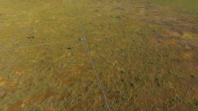 Экскурсия на Староселський мох смотреть онлайн