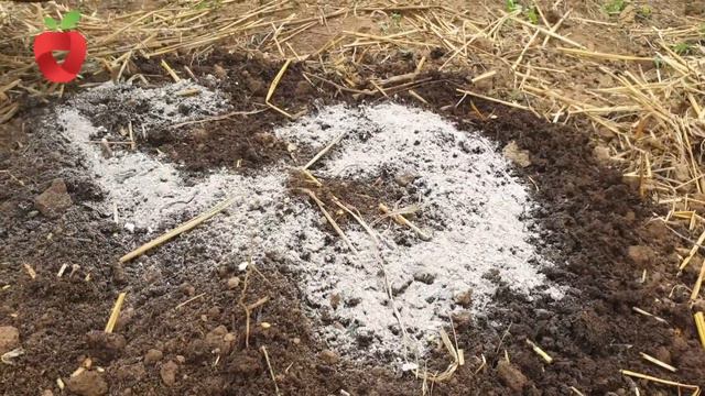 Šta se sije i sadi u oktobru - ove biljke podnose niže temperature смотреть онлайн