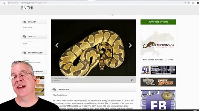 The Potential of the 'Sunset' Ball Python! смотреть онлайн