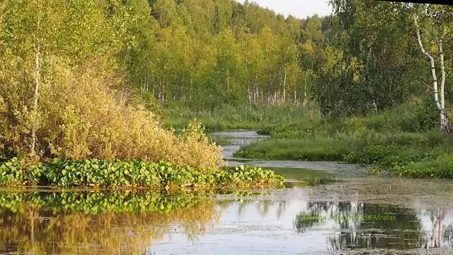 Музыка для крепкого сна, релакс. Спокойный сон. Расслабление. смотреть онлайн