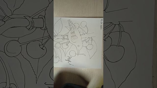 Как нарисовать ветку черешни и скворца на ней? / Видео-урок по рисованию маркерами для начинающих) смотреть онлайн